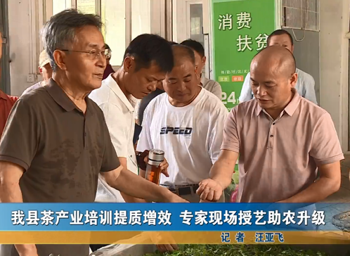 我縣茶產業培訓提質增效 專家現場授藝助農升級